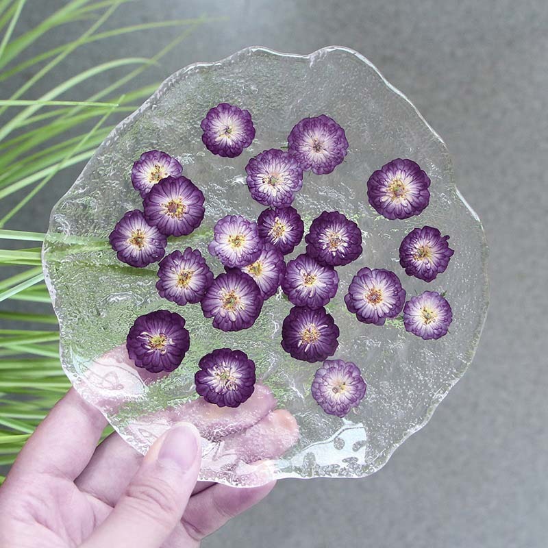 1.5~2.5CM/12PCS Real Natural Pressed Dried Roses Flowers Heads,Dry ...