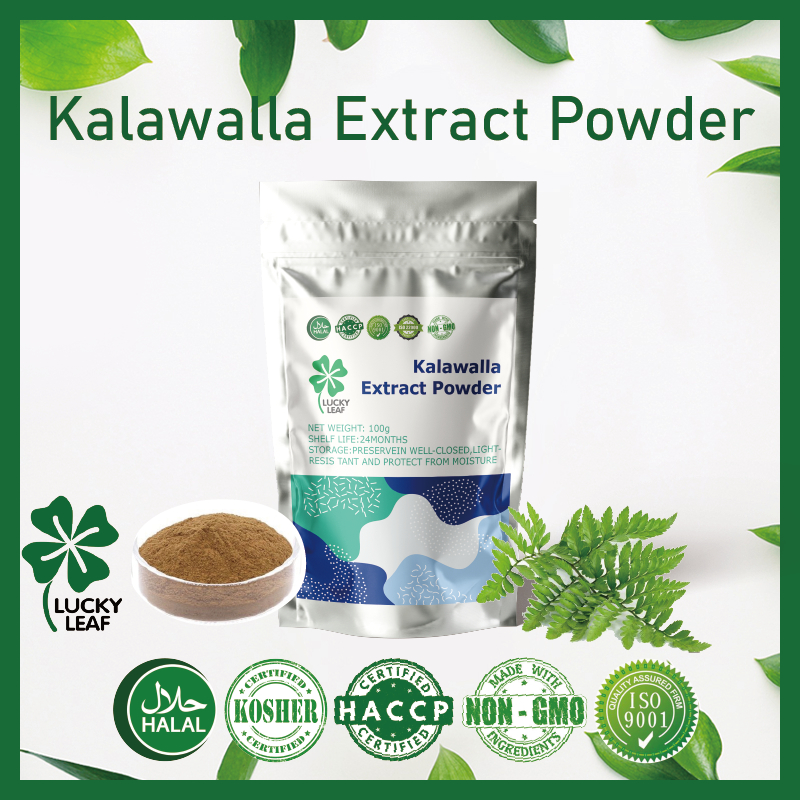 Kalawalla Extract Powder/Calaguala/Blood Cleanser/Reduces Phlegm ...