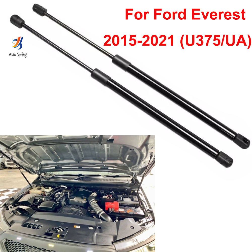 2-Piece Hood Lift Support Struts For Nissan Murano 2009-2014 - Gas Spring Set