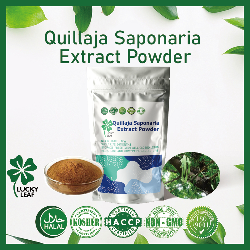 Quillaja Saponaria Extract Powder/Glycoside Saponins/Anti-inflammatory ...