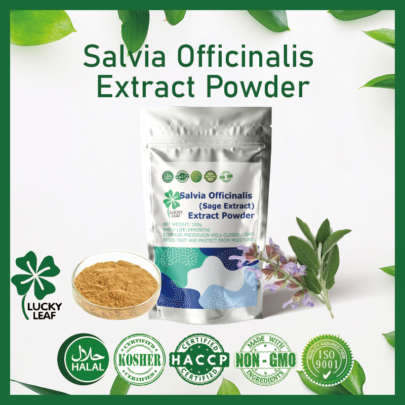 Salvia Officinalis Extract (Sage Extract) Powder/Oral health