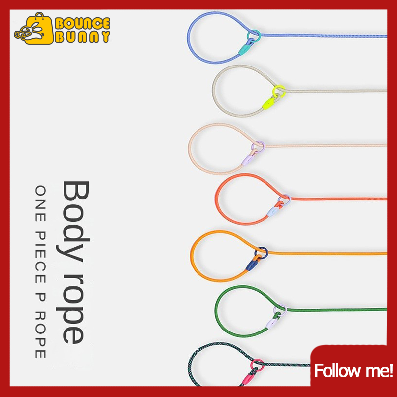 Competition-level P leash, dog leash, medium and large dog training, dog  leash, small dog P chain, small puppy, explosion-proof walking dog leash