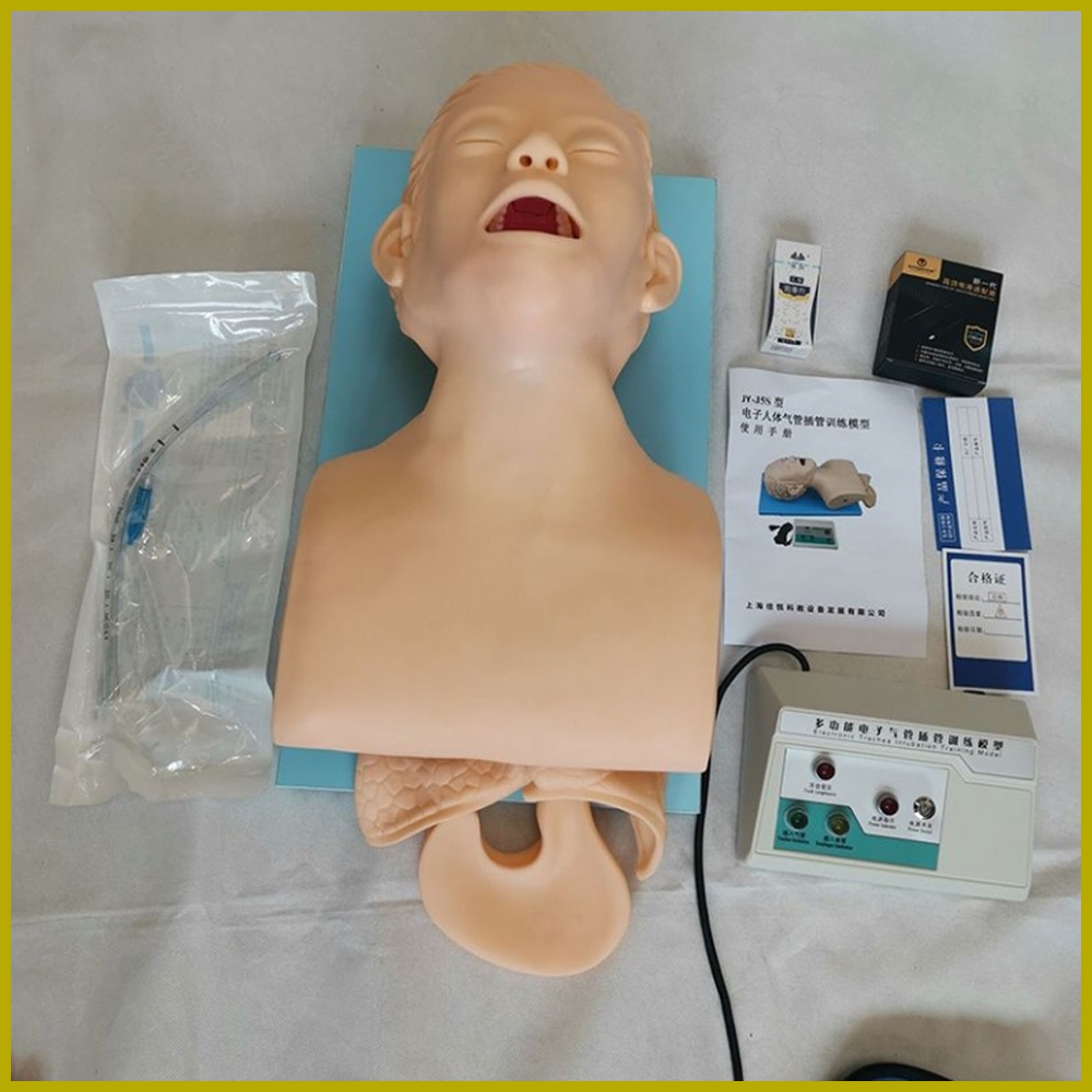 Student Tracheal Intubation Training Model Endotracheal Tube Model ...