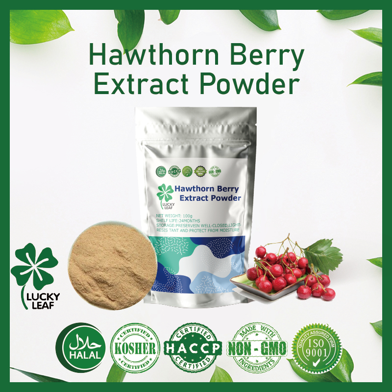 Hawthorn Berry Extract Powder/山楂/Thornapple/May-tree/Major Heart ...