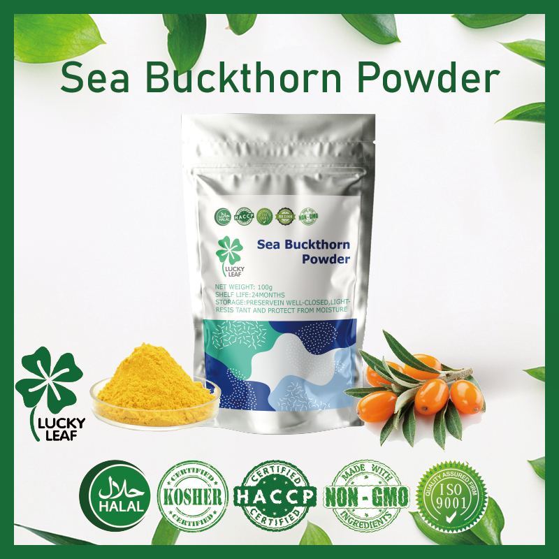 Sea Buckthorn Powder/Hipphophae rhamnoides/Vitamins/Amino acids/Fatty