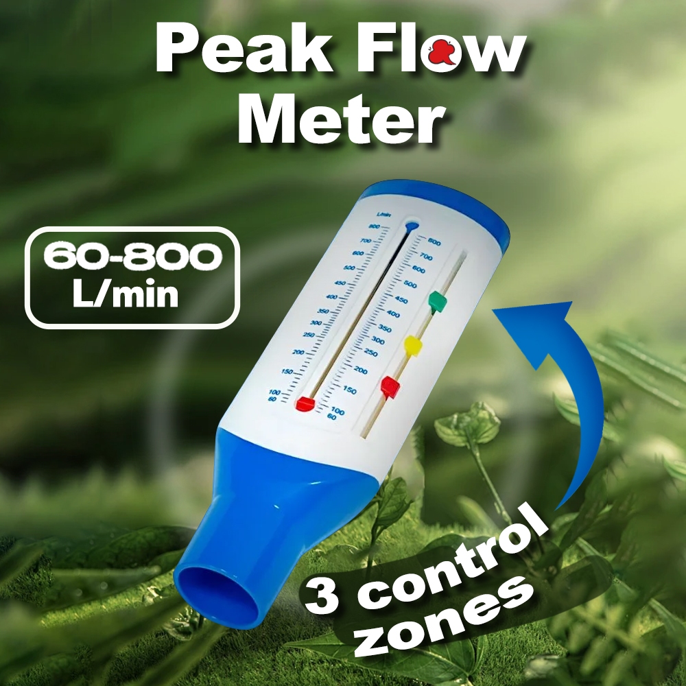 Permanently Spirometer Peak Speed Meter Expiratory Peak Flow Meter ...