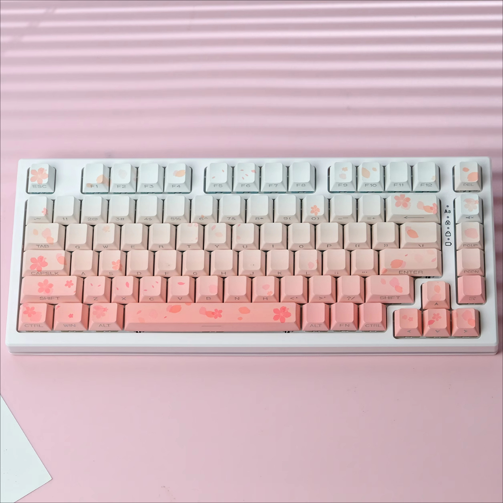 Gradient Light Transmission Keycaps PBT Double-shot Cherry Profile ...