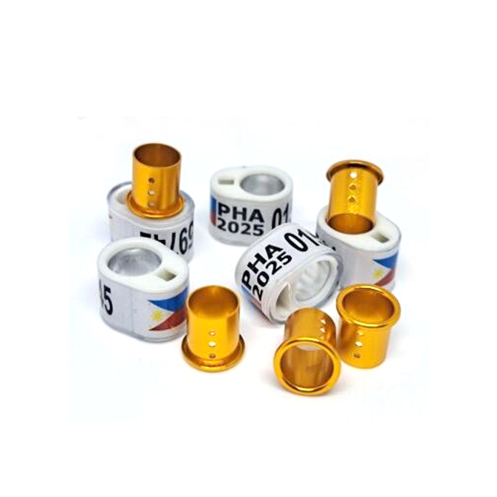 10 /30Set 2025 PHA Oval Pigeon Ring with Gold Inner Ring Set Singsing ...