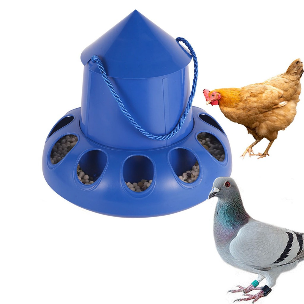 Automatic pigeon feeder best sale