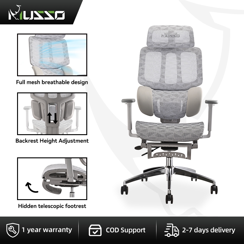Chair Ergonomic Ruzzo Gaming Chair MUSSO H80 CLASS Ergonomic Chair