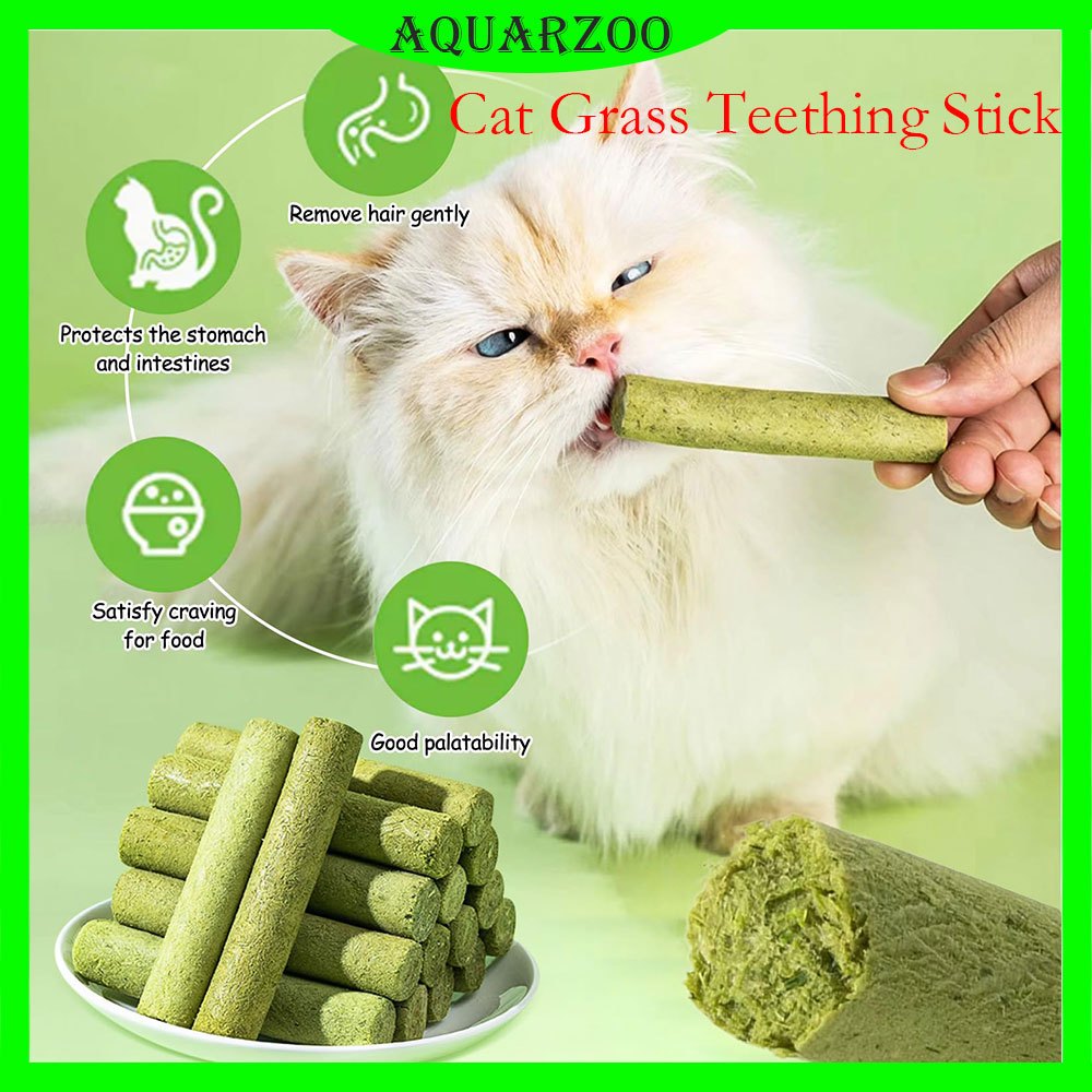 AQUARZOO Cat Grass Sticks for Indoor Cats Cat Grass Chew Sticks Teeth ...