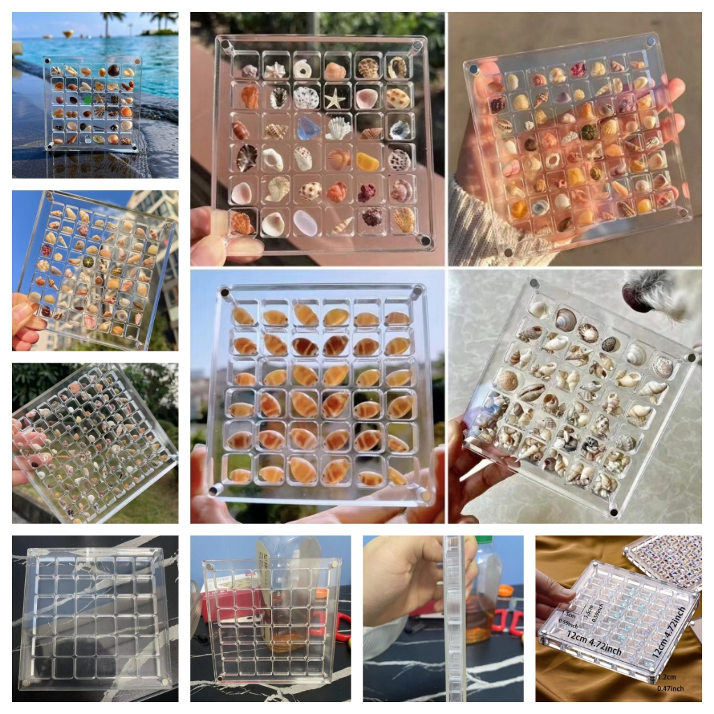 Portable acrylic magnetic shell storage box, acrylic seashell box ...