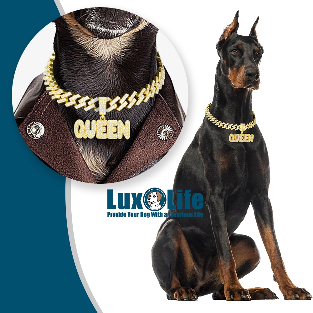 Dog Collars For Small Dogs Bling Dog Collar 13mm Cuban Link