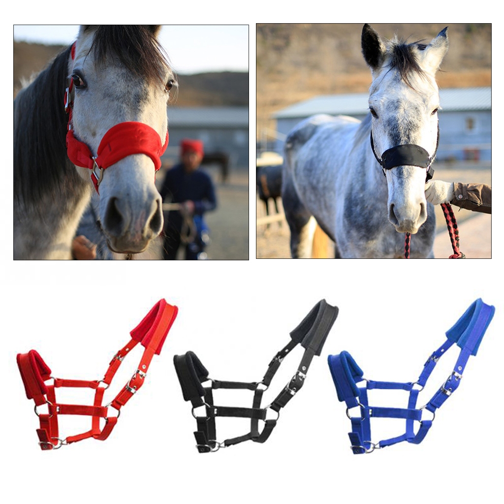 Soft Padded Horse Halter Bridle Headstall Head Collar Horse Riding ...