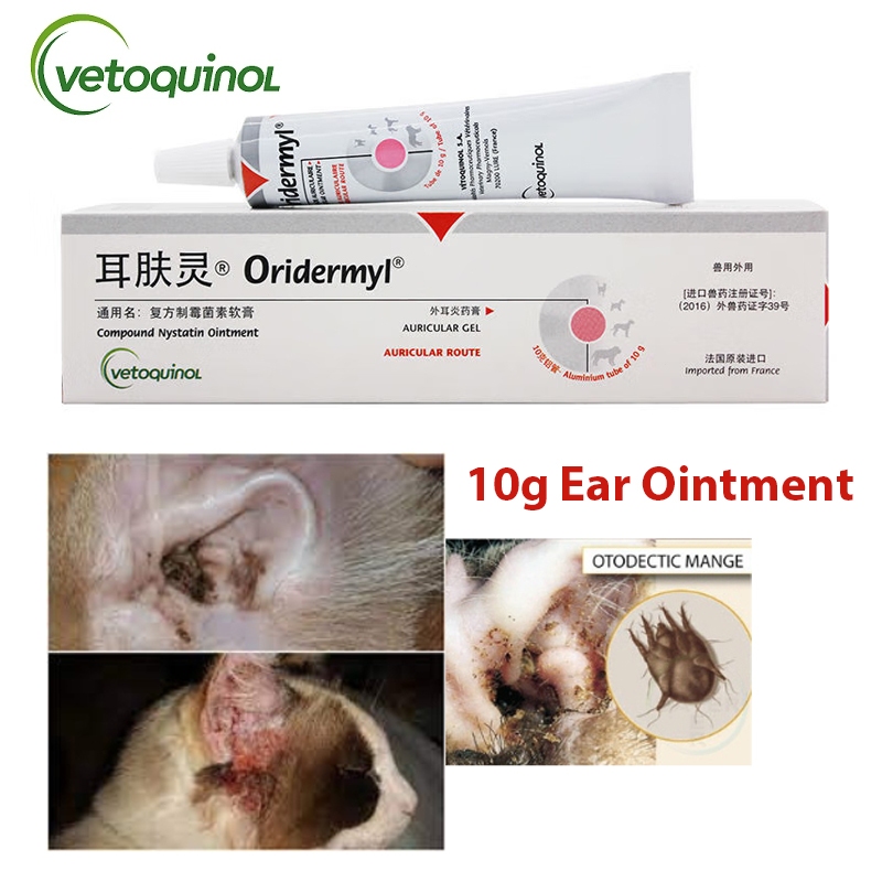 Oridermyl Pet Ear Ointment 10g for Dogs and Cats Ear Mites Otitis ...