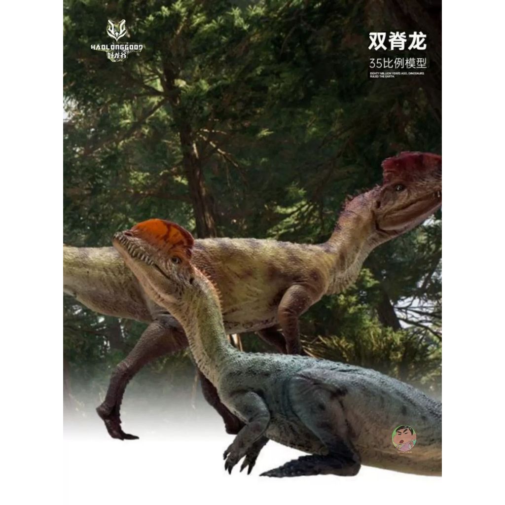 thumbnail image 2 of HAOLONGGOOD Dilophosaurus 1:35 Scale Model – Scientific & Artistic Dinosaur Figure, Two Poses (Standing & Sitting), Educational Gift 2 of 13