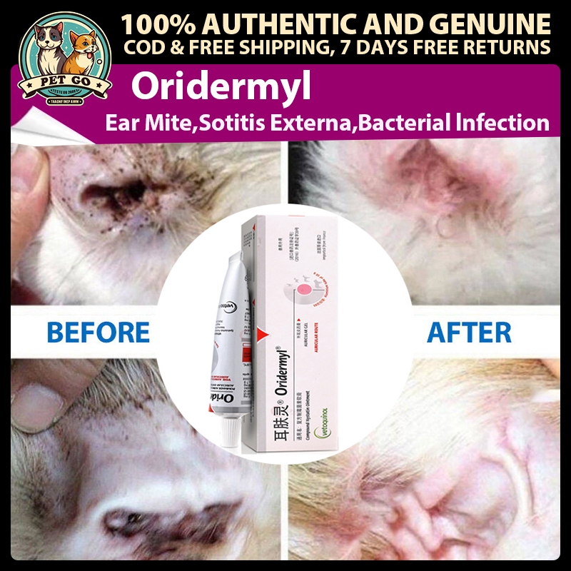 Oridermyl Ear Ointment 10g treat ear mites ear infections for Dogs and ...