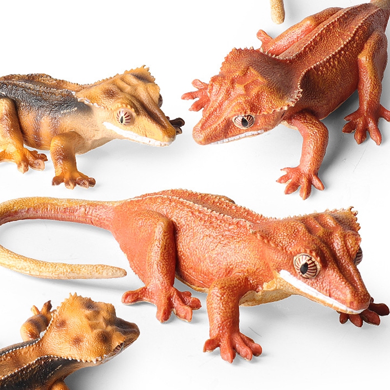 reptile crested gecko Rhacodactylus ciliatus lizard simulation model ...
