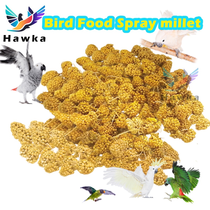 Spray millet for birds Bird Food Lovebirds Parrot Seed 100/200/500g Shopee Philippines