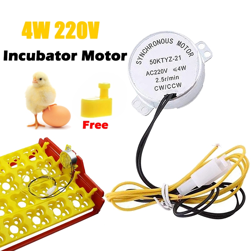 Synchronous Motor, Egg Turner Motor, AC 110/220V, 2 Types Of