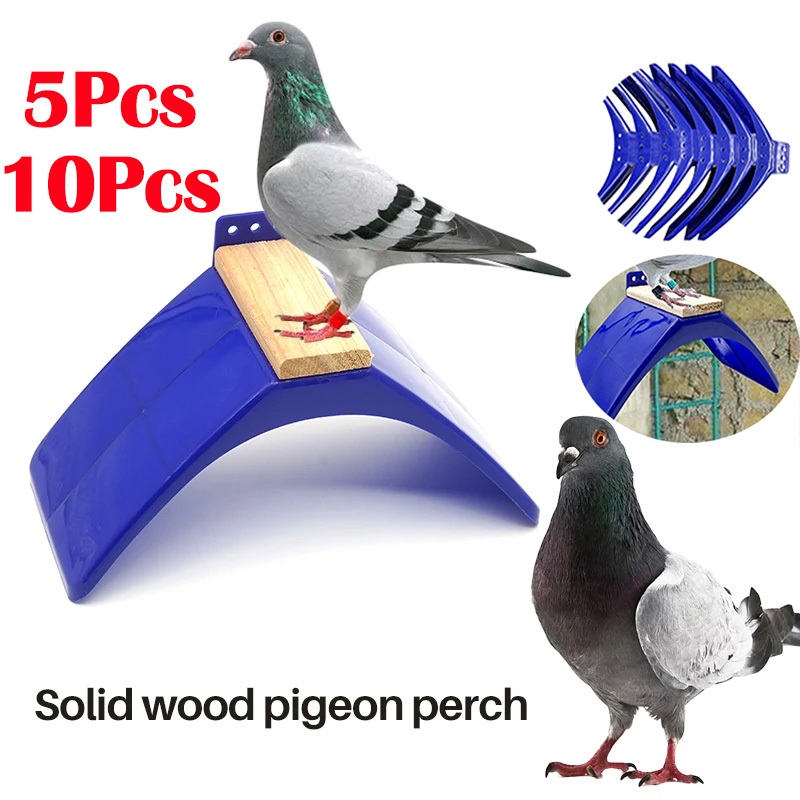 5/10Pcs Solid wood pigeon perch Pigeon Rest Stand Durable Accessories ...