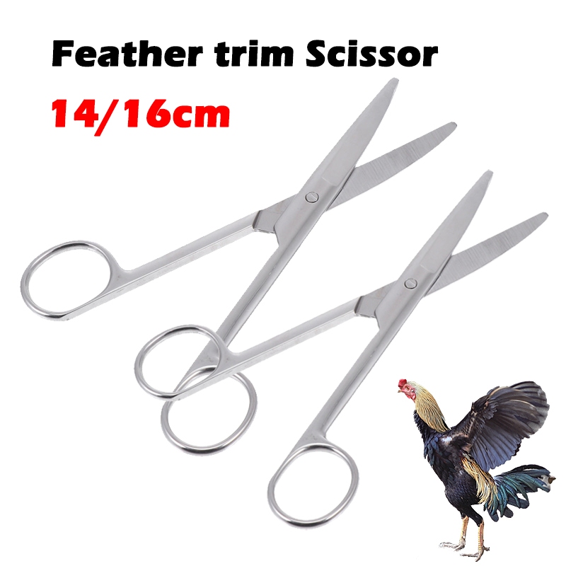 Curated visual reference: Fresh Look at 14 16Cm Stainless Steel Feather Trimming Scissor For Gamefowl Chicken