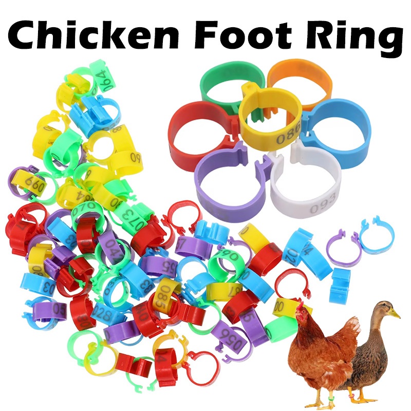 100Pcs Chicken Foot Ring 1-100 Number Plat Plastic Multiple Color ...
