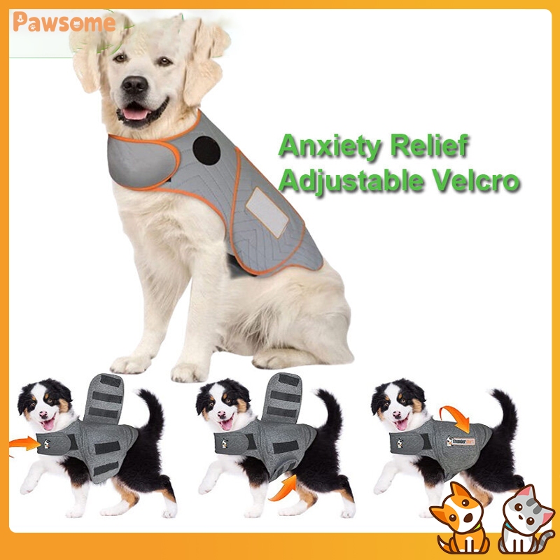 Photo inspiration: Calming Cat Clothing For Stressed Cats Reference: Pawsome Pet Dog Sport Anxiety Vest Pet Cat Clothes Dogs