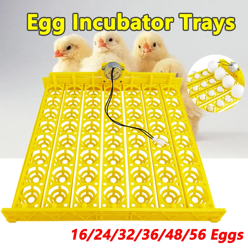 Retourneur D'œufs Automatique Pour Incubateur – 48 à 154 œufs – Poule, Canard, Caille – 220V/12V