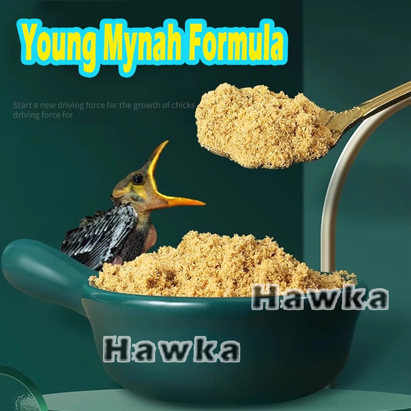 Bird Handfeeding formula for Mynah Bird Food Baby Mynah Hand Feeding ...