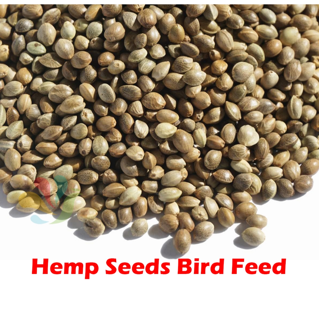 Hemp seeds Bire feed Parrot food for parakeet,cockatiel,hamster