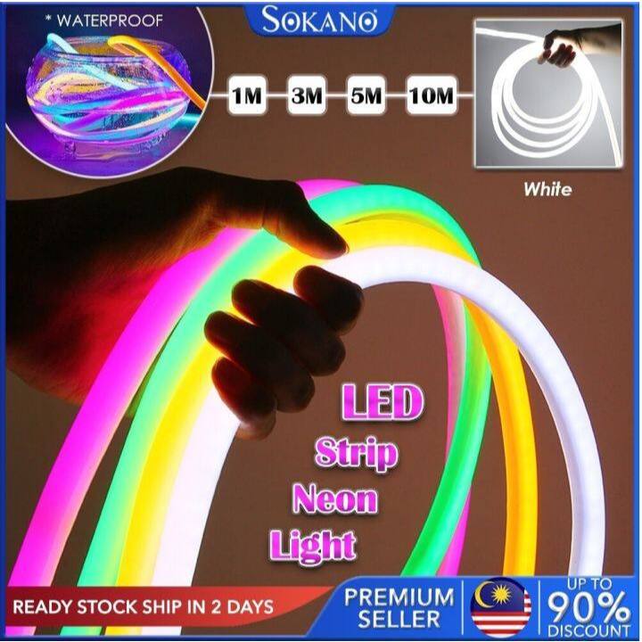 1 Set Colorful LED Strip Light 1/3/5/20 Meters 220V to 12V Neon Lights ...