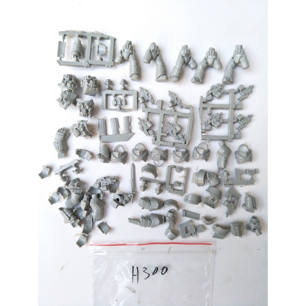 Cataphractii Terminators Resin Model (unassembled, unpainted) | Shopee ...