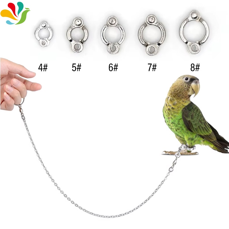 Bird training leash with ring clip Parrot ankle ring foot chain ...
