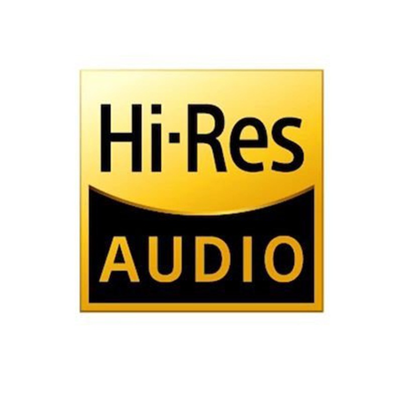 Hi-Res Audio Stickers for Sony Walkman, Fiio, Shanling, Ibasso, Iriver ...