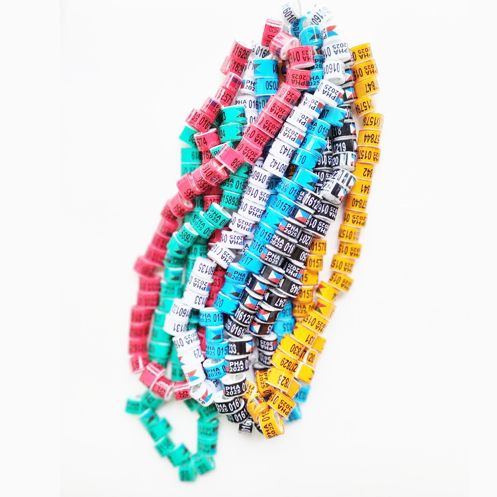 50 Pigeon Rings 2024 – Multicolor, 10 Different Colors, Anillos De Palomas, PGO Brand - View #4