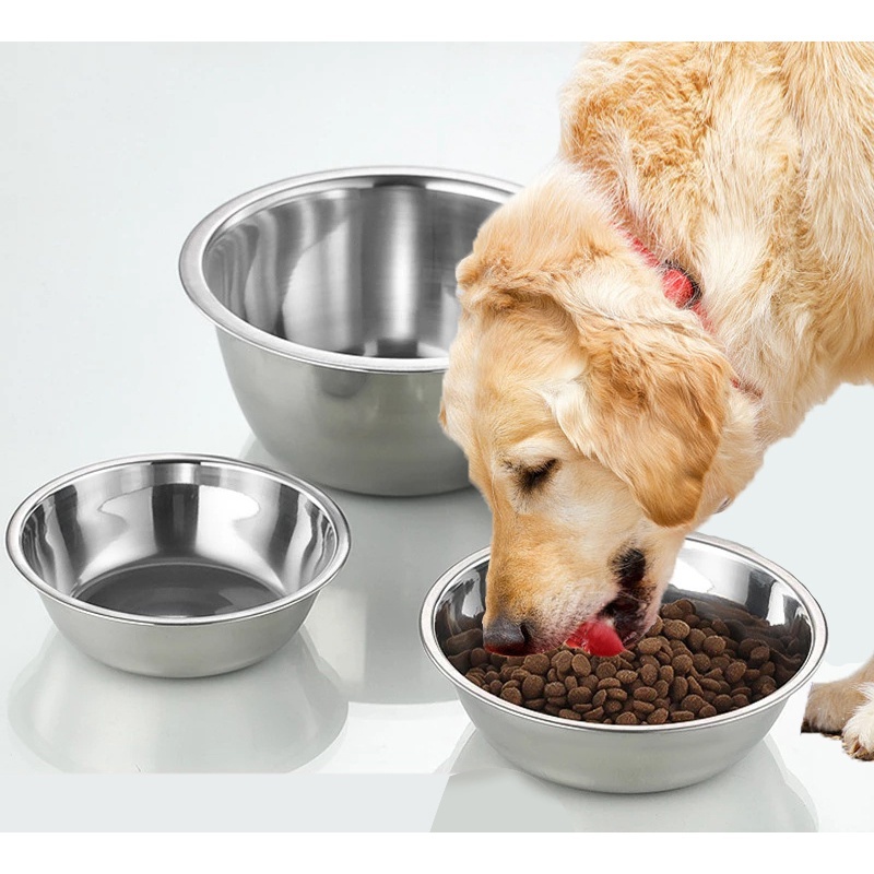 pet boarding đà nẵng