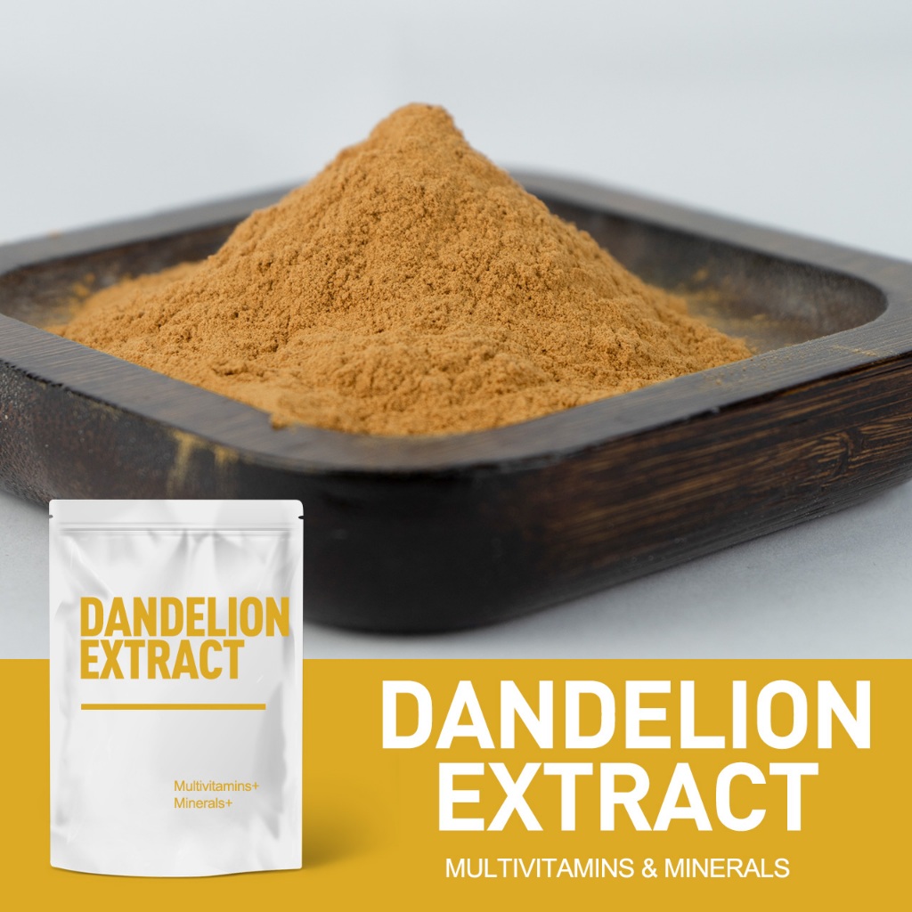 Spot Wholesale Dandelion Extract Powder 10:1 Food Grade Powder Water ...