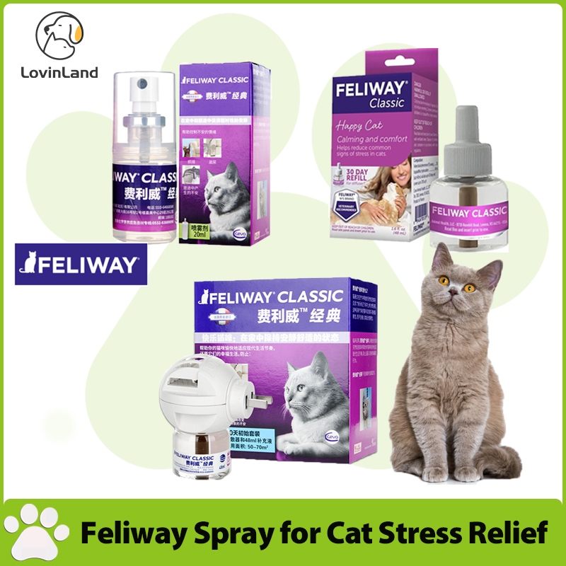 Feliway Spray For Cat Stress Relief Urine Spraying Scratching Feliway Photo Inspiration