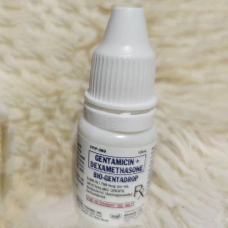 Bio-Genta Eye Drops for Pets 10ml | Shopee Philippines