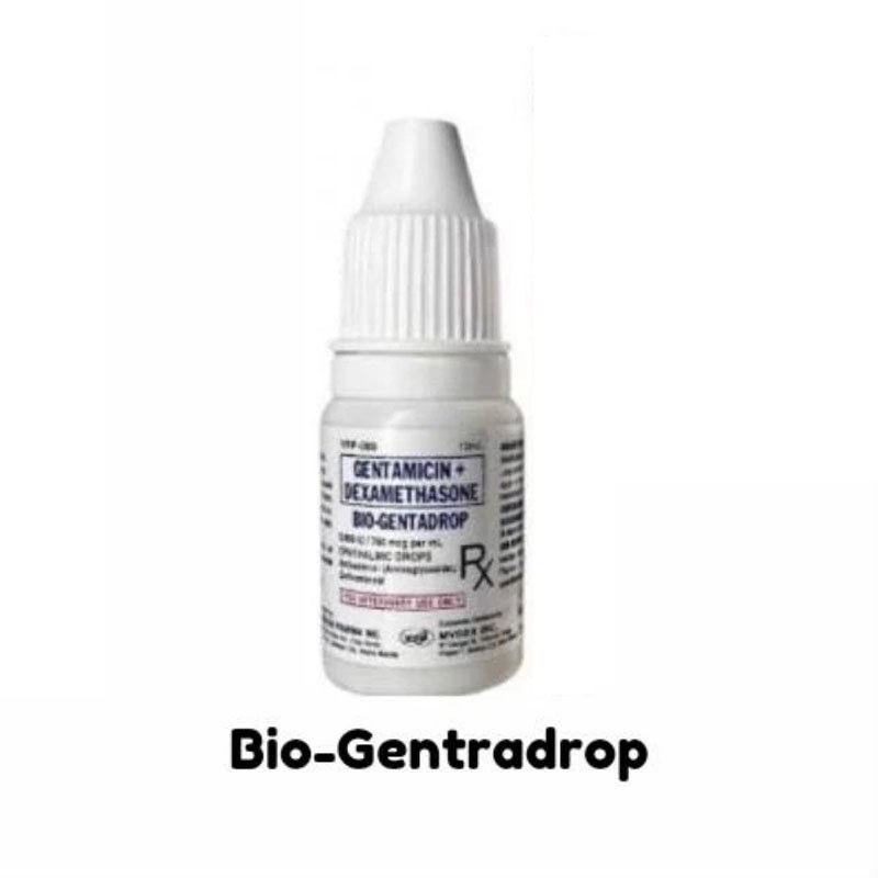 Bio-Genta Eye Drops for Pets 10ml | Shopee Philippines