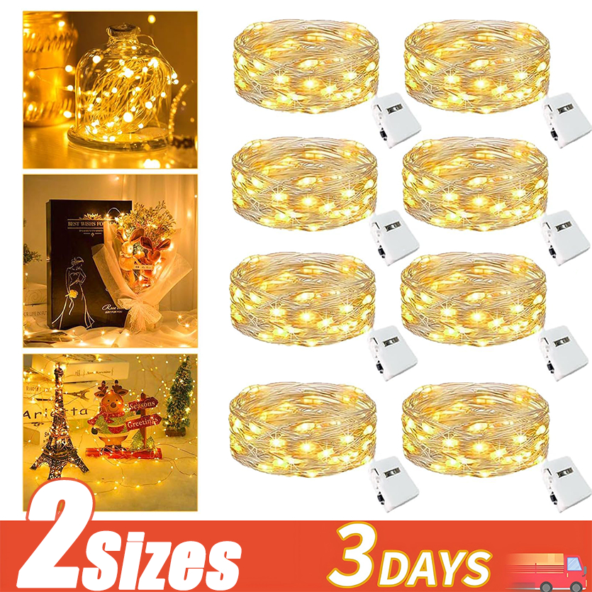 1/2M Flashing LED Light Strings Battery Garden Fairy String Lights ...