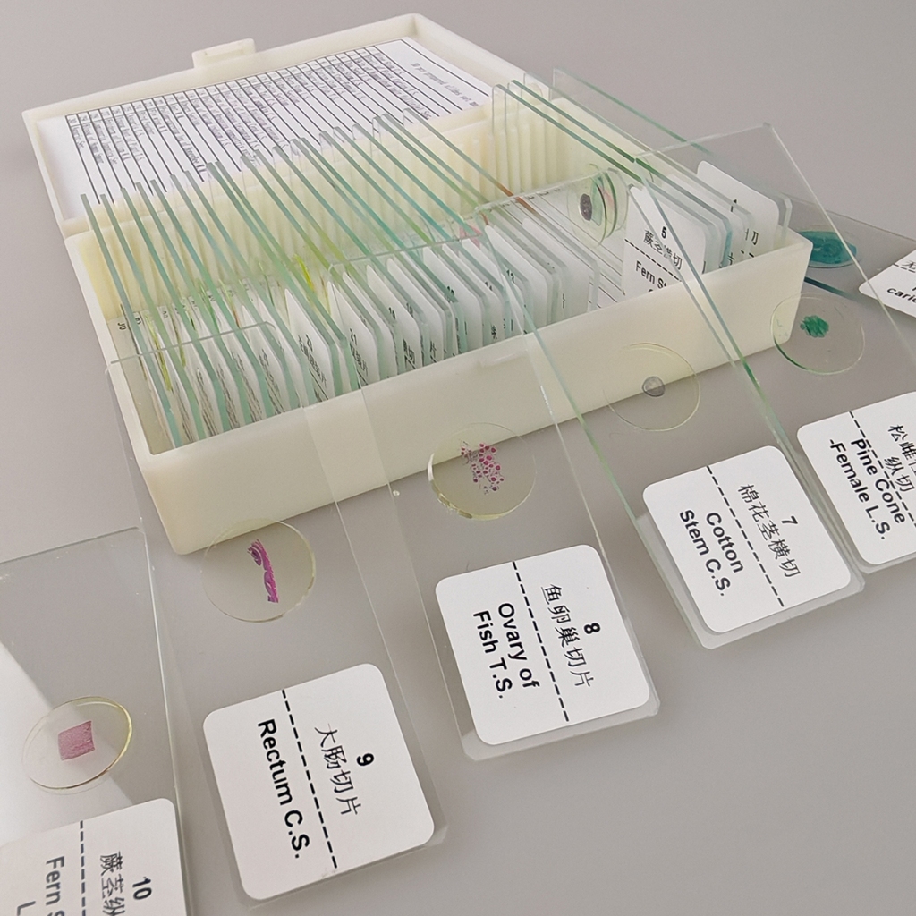 30PCS/Set Biological Prepared Slides Tissues Specimen Slices Science ...