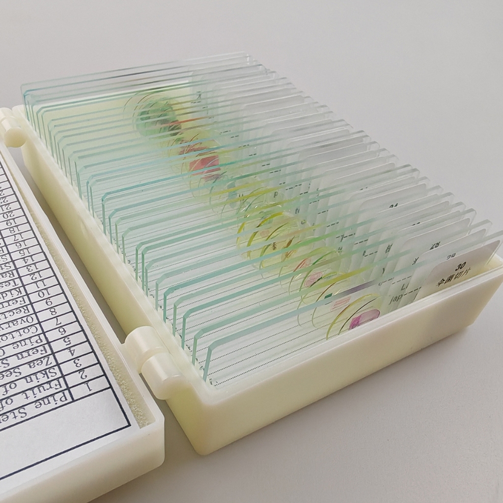prepared microscope slides - Best Prices and Online Promos - Jul 2026 ...