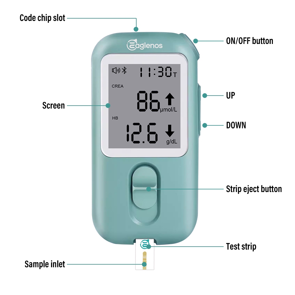 Multifunctional Blood Creatinine HB eGFR Meter For Renal function ...