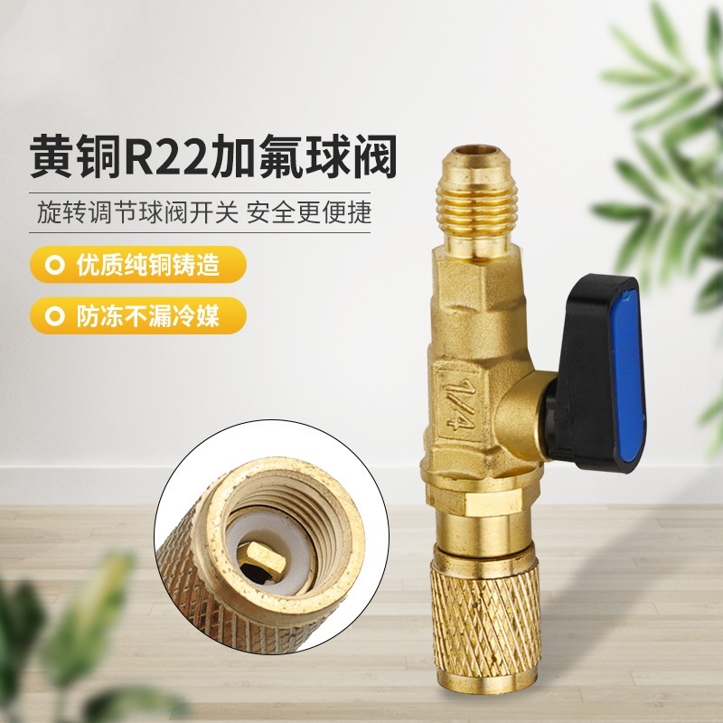 Liquid dosing safety valve R22 automotive air conditioner low-pressure ...