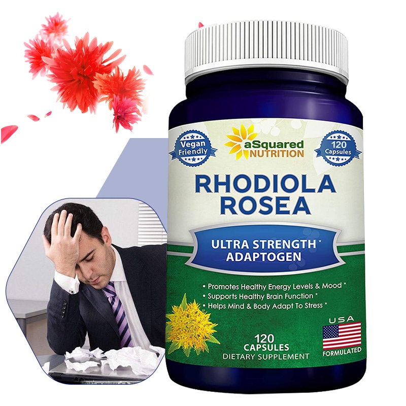 Rhodiola rosea supplements, support mental relaxation, focus and brain ...