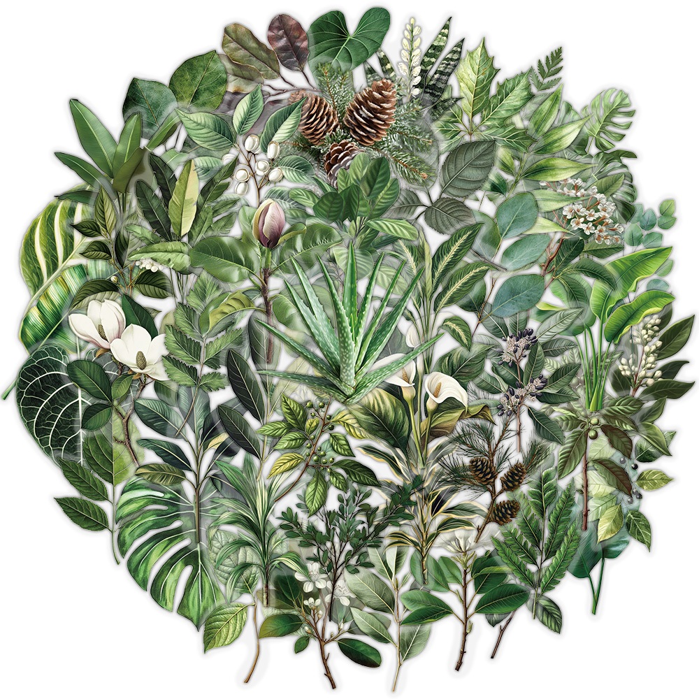 [Large Sticker]50pcs Natural plant collection Green Leaf Decorative PET ...