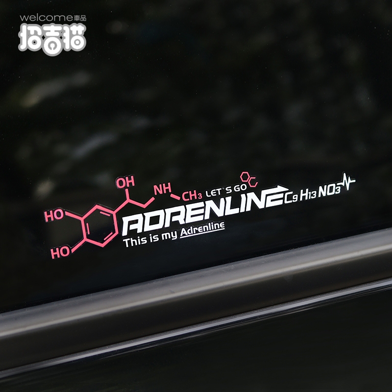 JDM Personalized Car Sticker Car Rear Windshield Sticker Motorcycle ...