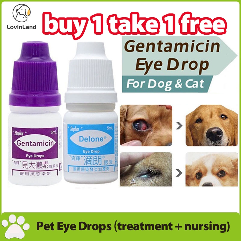 Lovinlandpet Pet Eye Drops Gentamicin Eye Drops for Pet Cat Dogs Eye ...